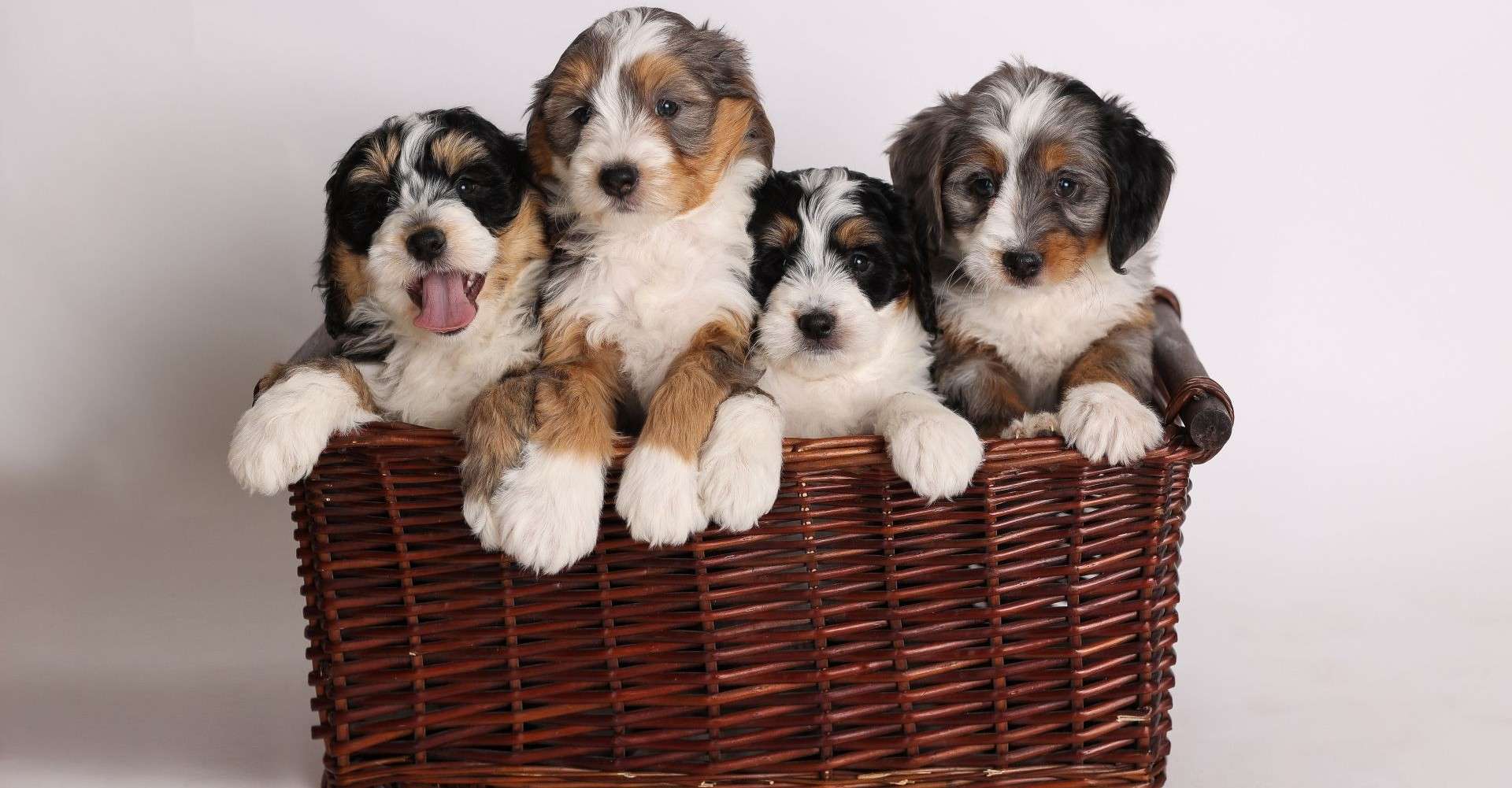 Contact Us Contact Us